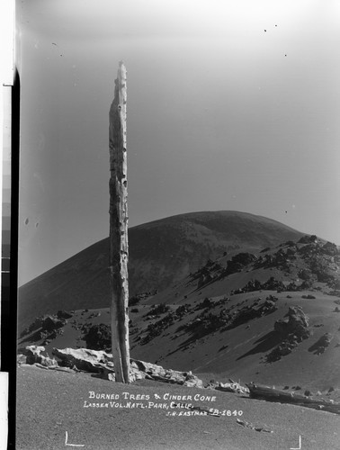 Burned Trees & Cinder Cone Lassen Vol. Nat'l. Park, Calif