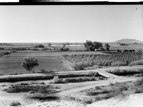 Near Yuma, Ariz