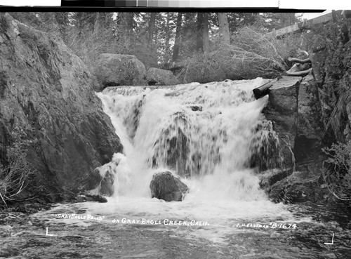 "Gray Eagle Falls" on Gray Eagle Creek, Calif