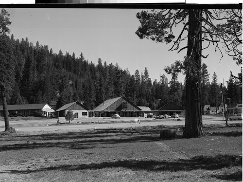 The Mineral Lodge, Mineral, Calif