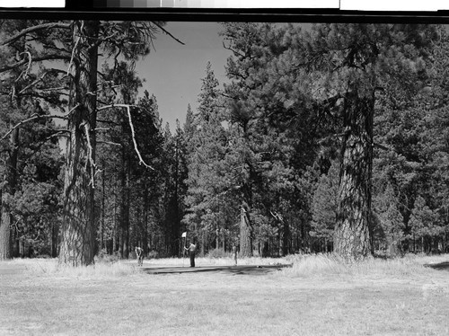 At the Feather River Park, Blairsden, Calif