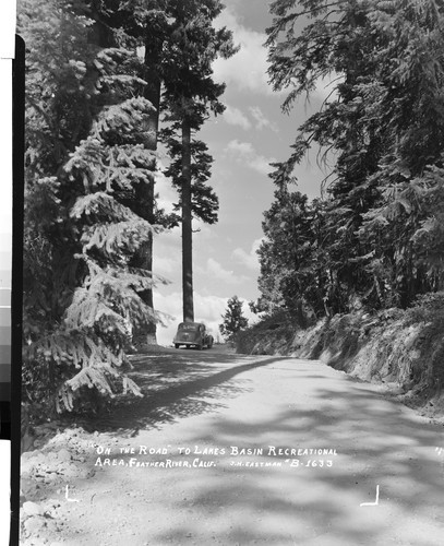 "On the Road" to Lakes Basin Recreational Area, Feather River, Calif