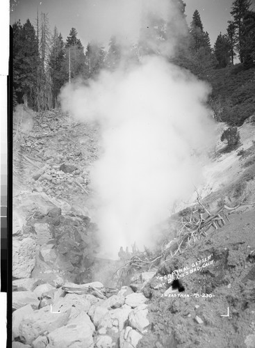 "Terminal Geyser" near Drakesbad, Calif