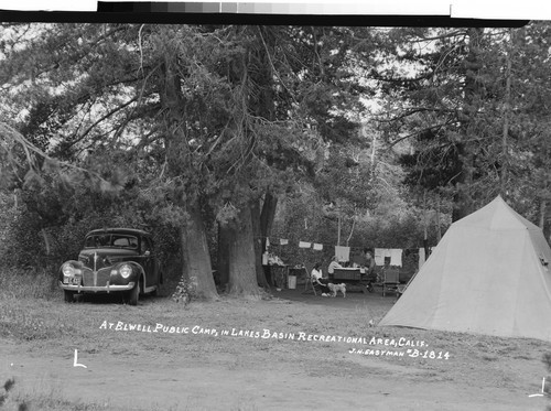 At Elwell Public Camp, In Lakes Basin Recreational Area, Calif