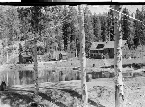 Delaney's Trout Farm, Sattley, Calif