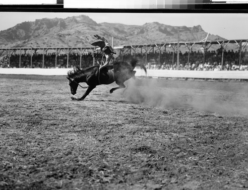 Modoc County Rodeo