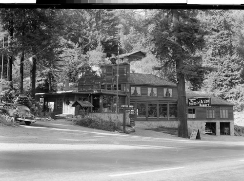 On the Redwood Highway, Calif