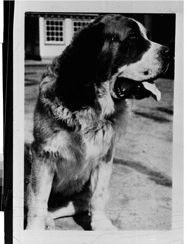 The St. Bernard Lodge, Mill Creek, Calif