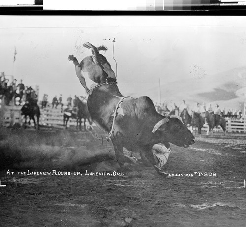 At the Lakeview Round-Up, Lakeview, Ore