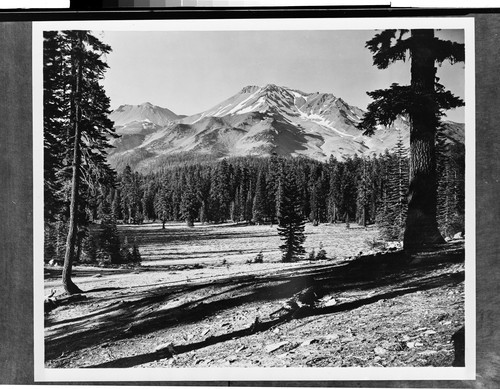 Mt. Shasta, Calif