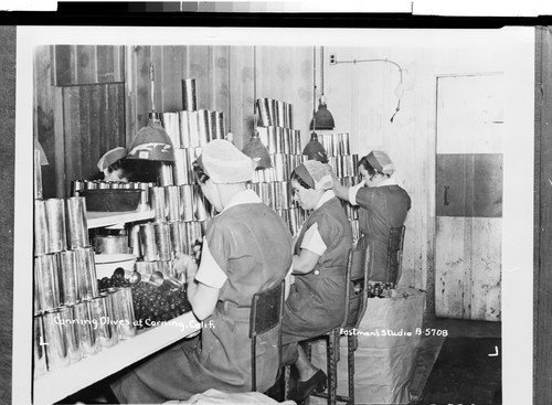 Canning Olives at Corning, Calif