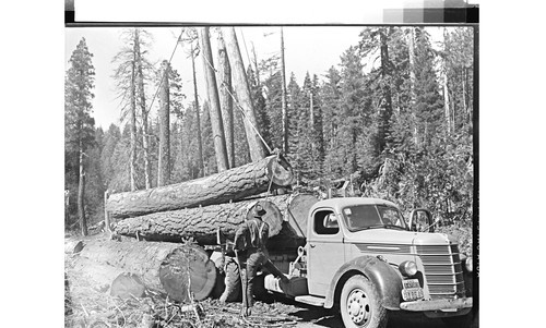 Logging truck