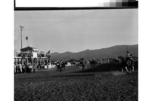 Rodeo Action Shots