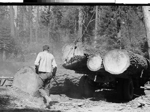 Red River Lumber Company Humbug Logging Operation