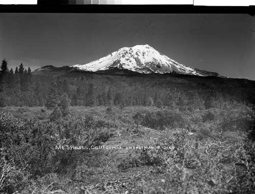 Mt. Shasta, California