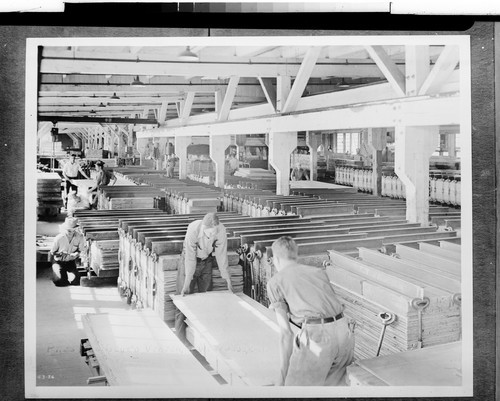 Pressing Glued Veneer, at Westwood, Calif