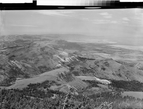 In the Warner Mts., Modoc County, Calif