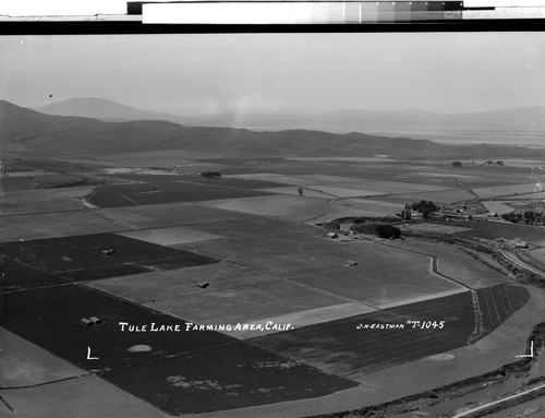 Tule Lake Farming Area, Calif