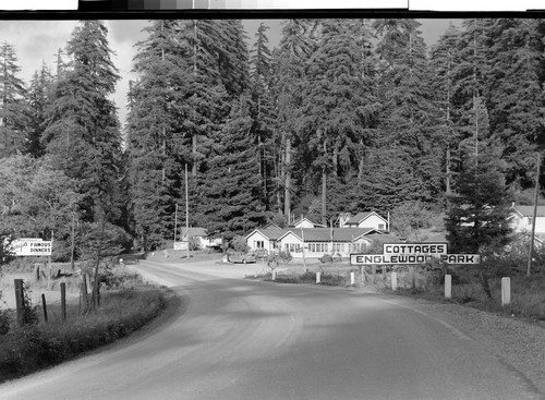 Along the Redwood Highway, Calif