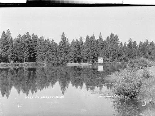 Near Shingletown, Calif