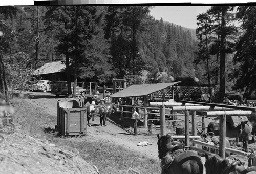 Roxbury Lodge Pack Station, Horse Creek, Calif