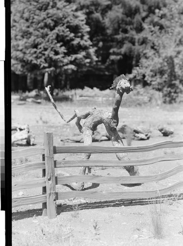 The Driftwood Bird, Reynold's Resort, Calif
