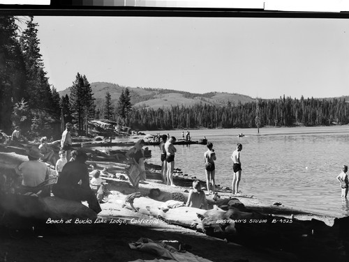 Beach at Bucks Lake Lodge, California