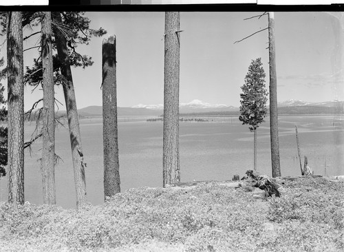 Mt. Lassen from Lake Almanor, Calif