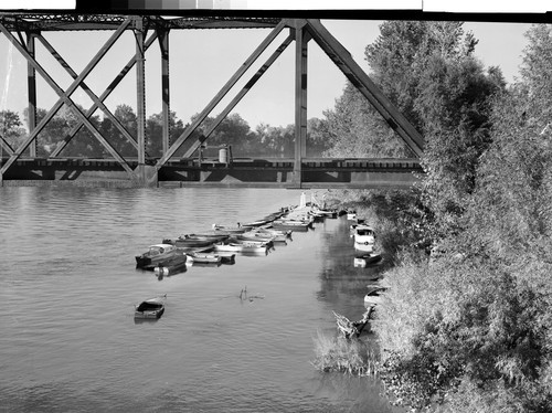 Fish Camp near Los Molinas, Calif