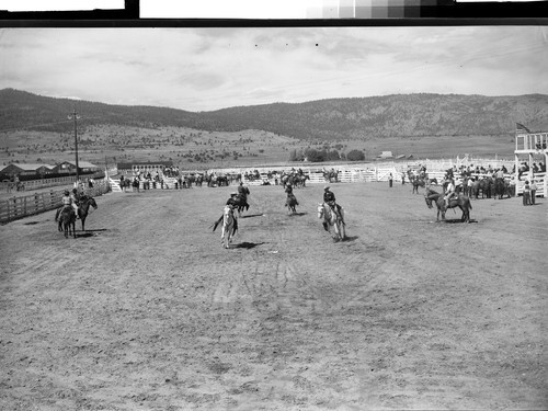 Susanville Fair & Rodeo