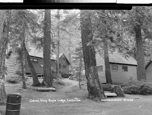 Cabins, Gray Eagle Lodge, California