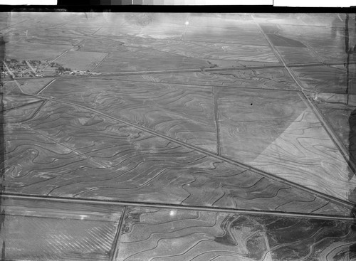 Rice Fields in Sacramento Valley, Calif