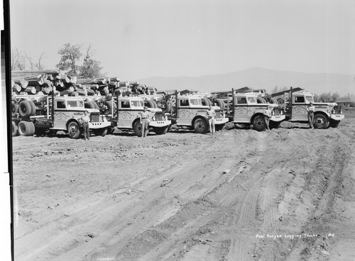 Paul Bunyan Logging Trucks