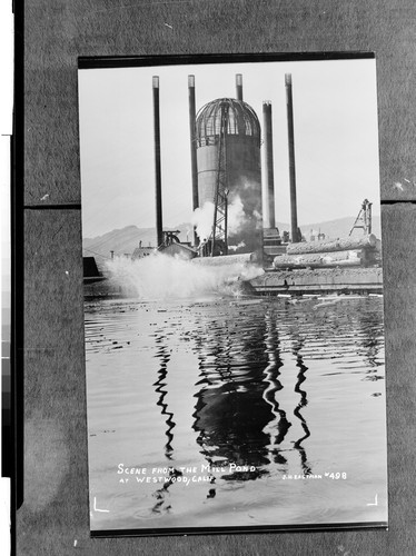 Scene from the Mill Pond at Westwood, Calif