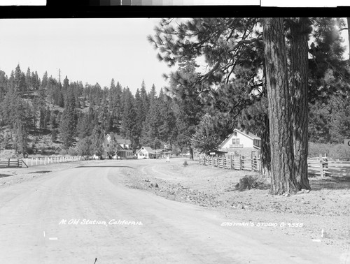 At Old Station, California