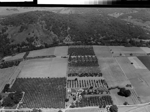 In Willamette Valley of Oregon