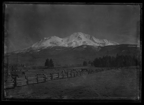 Mt. Shasta, Calif