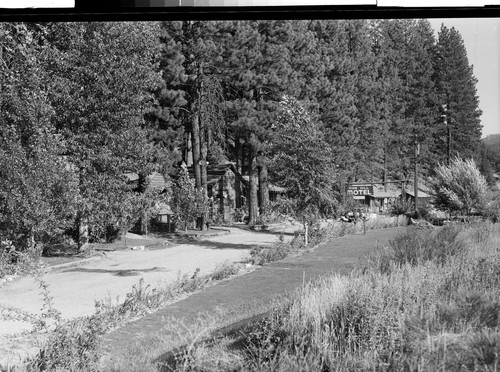 Pine Hill Motel, Quincy, Calif