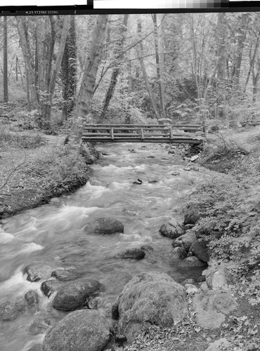 In Lithia Park, Ashland, Oregon