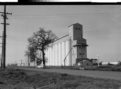 Rice Dryer in Sacramento Valley, Calif