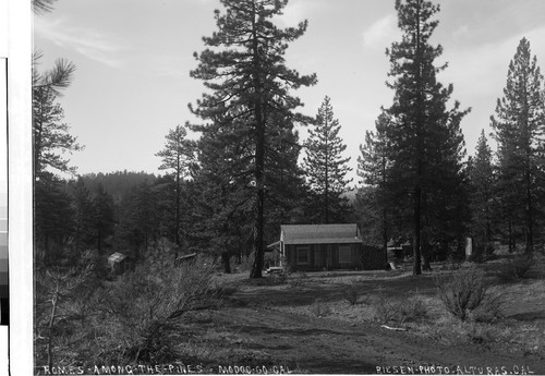 Homes-Among-The-Pines=Modoc-Co-Cal