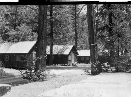 Trinity Alps Resort, Calif