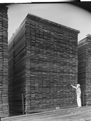 Lumber at Fruit Growers Supply Co