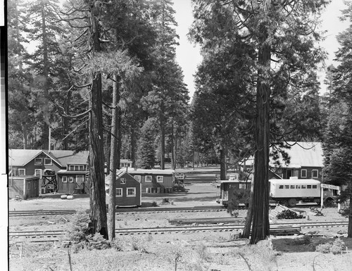 McCloud Logging Camp