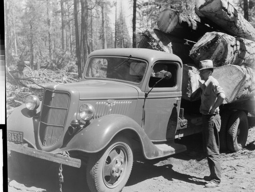 Doyle Motor Ford Logging Trucks