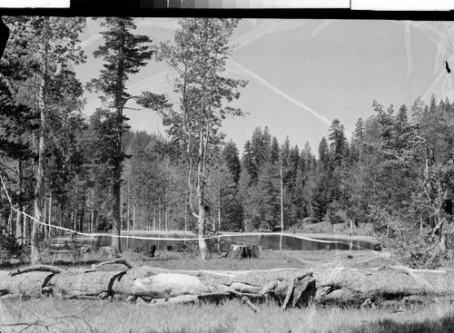 Delaney's Trout Farm, Sattley, Calif