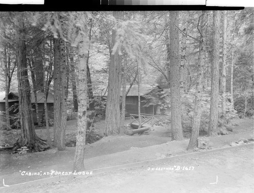 "Cabins," At Forest Lodge