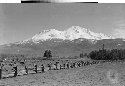 Mt. Shasta, Calif