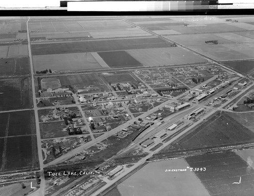 Tule Lake, Calif