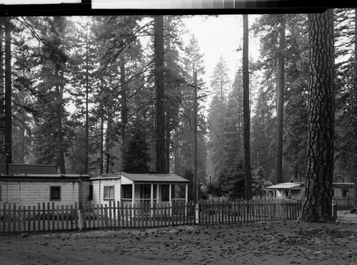 McCloud Logging Camp